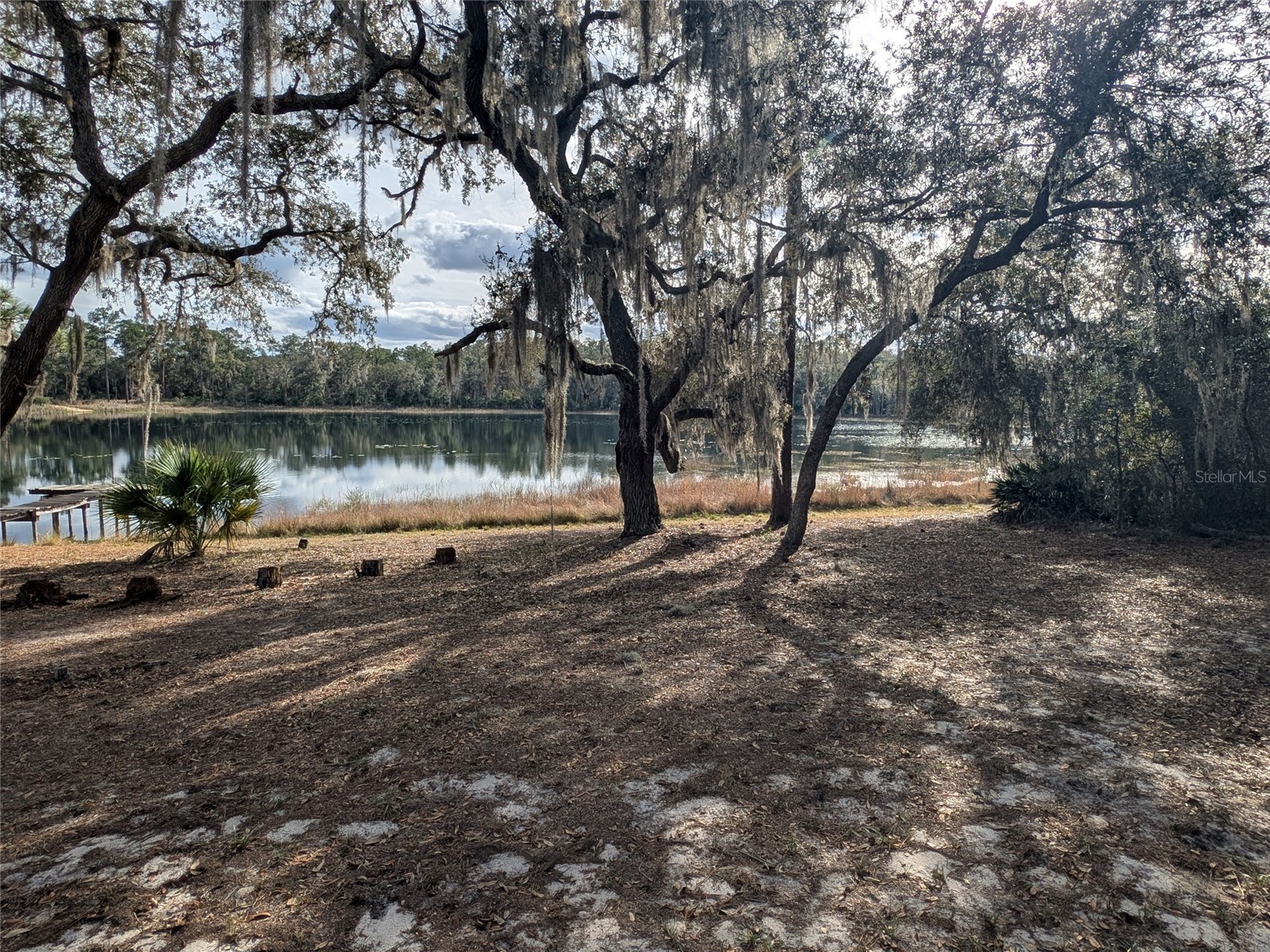 14730 SE 61st Street Road Ocklawaha FL 32179 - LAKE SHOESOLE OM717239 image79