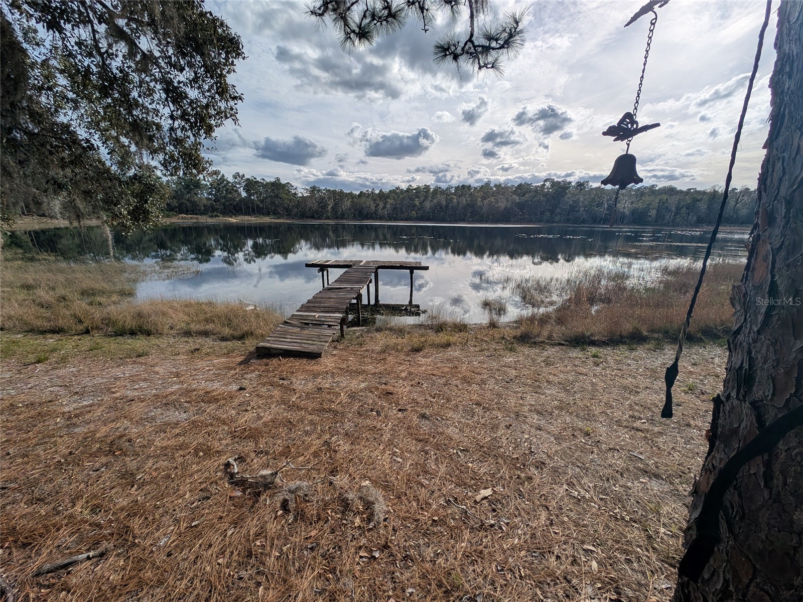 14730 SE 61st Street Road Ocklawaha FL 32179 - LAKE SHOESOLE OM717239 image80