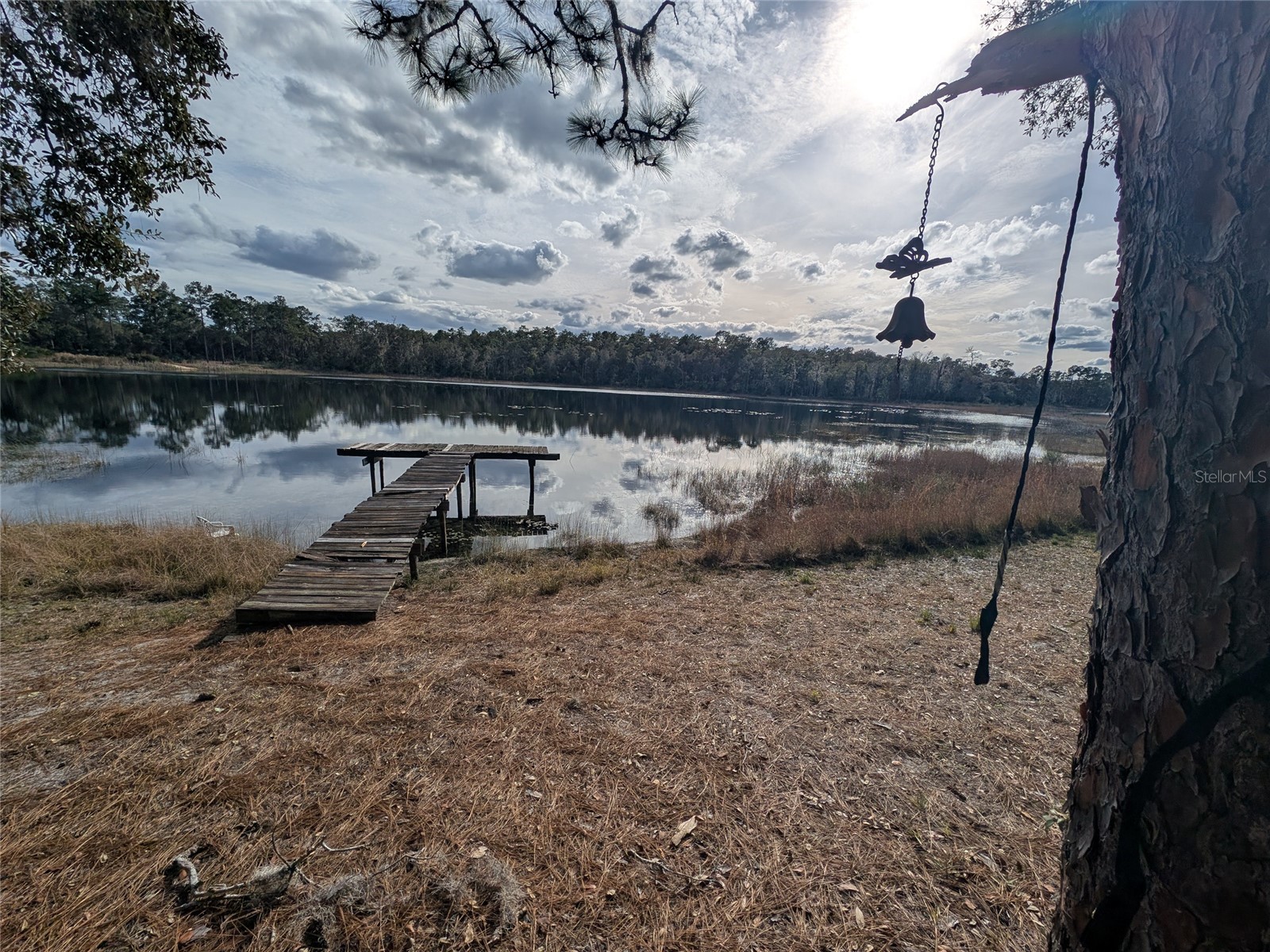 14730 SE 61st Street Road Ocklawaha FL 32179 - LAKE SHOESOLE OM717239 image81