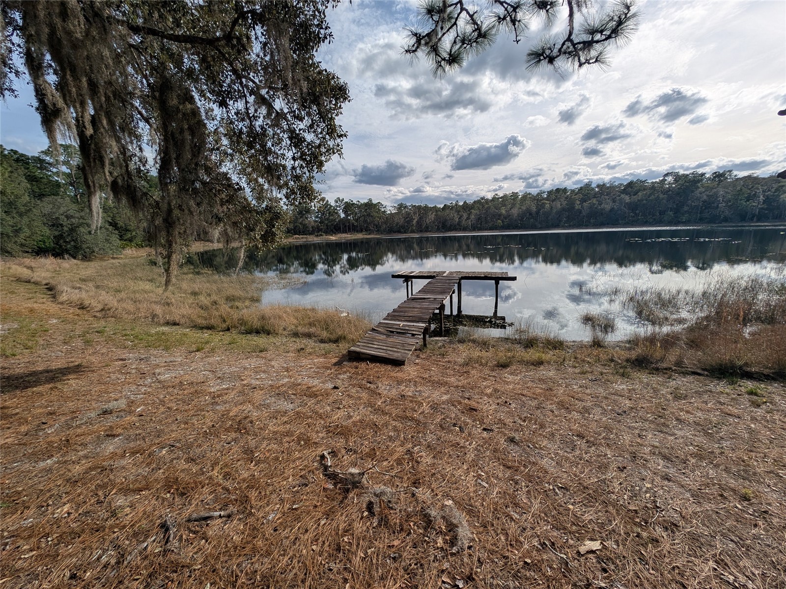 14730 SE 61st Street Road Ocklawaha FL 32179 - LAKE SHOESOLE OM717239 image82