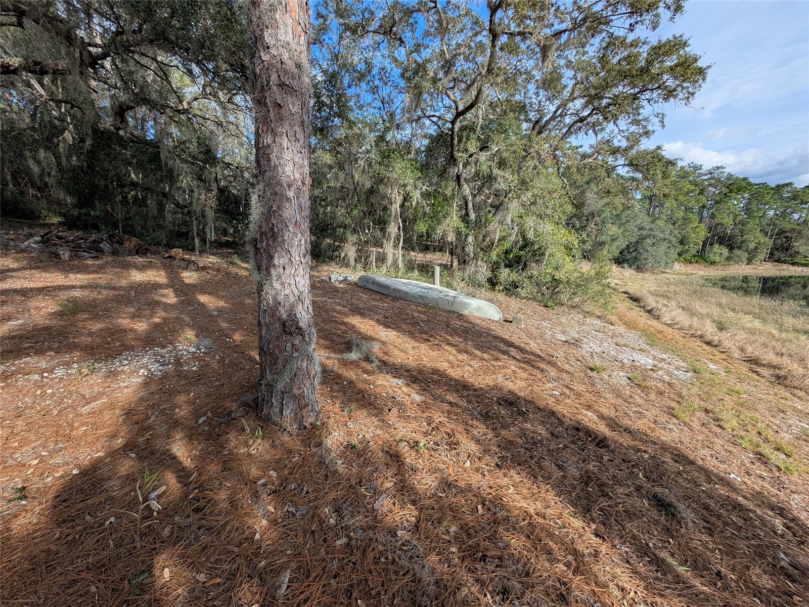 14730 SE 61st Street Road Ocklawaha FL 32179 - LAKE SHOESOLE OM717239 image83