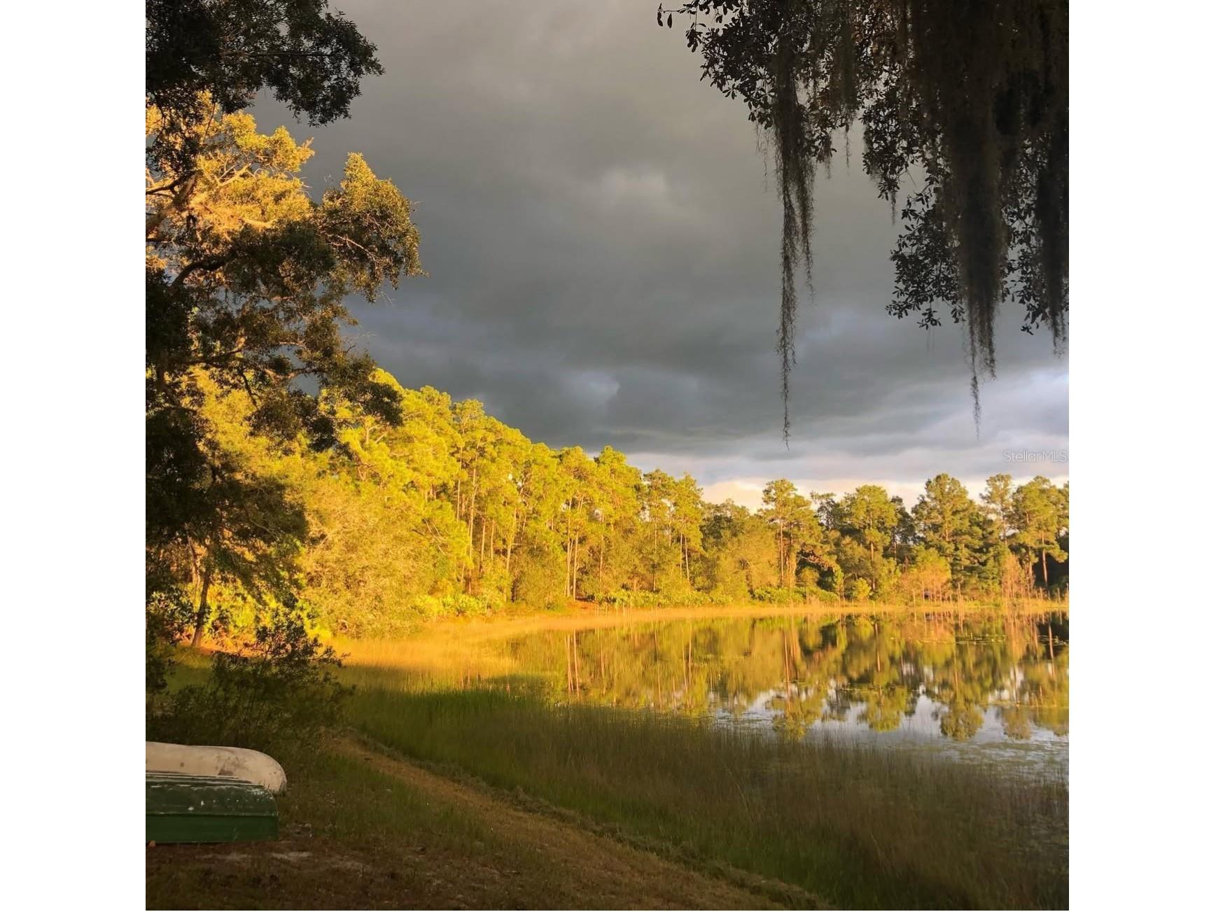 14730 SE 61st Street Road Ocklawaha FL 32179 - LAKE SHOESOLE OM717239 image84