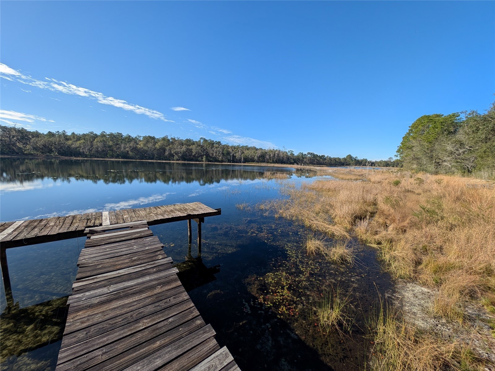 14730 SE 61st Street Road Ocklawaha FL 32179 - LAKE SHOESOLE OM717239 image87