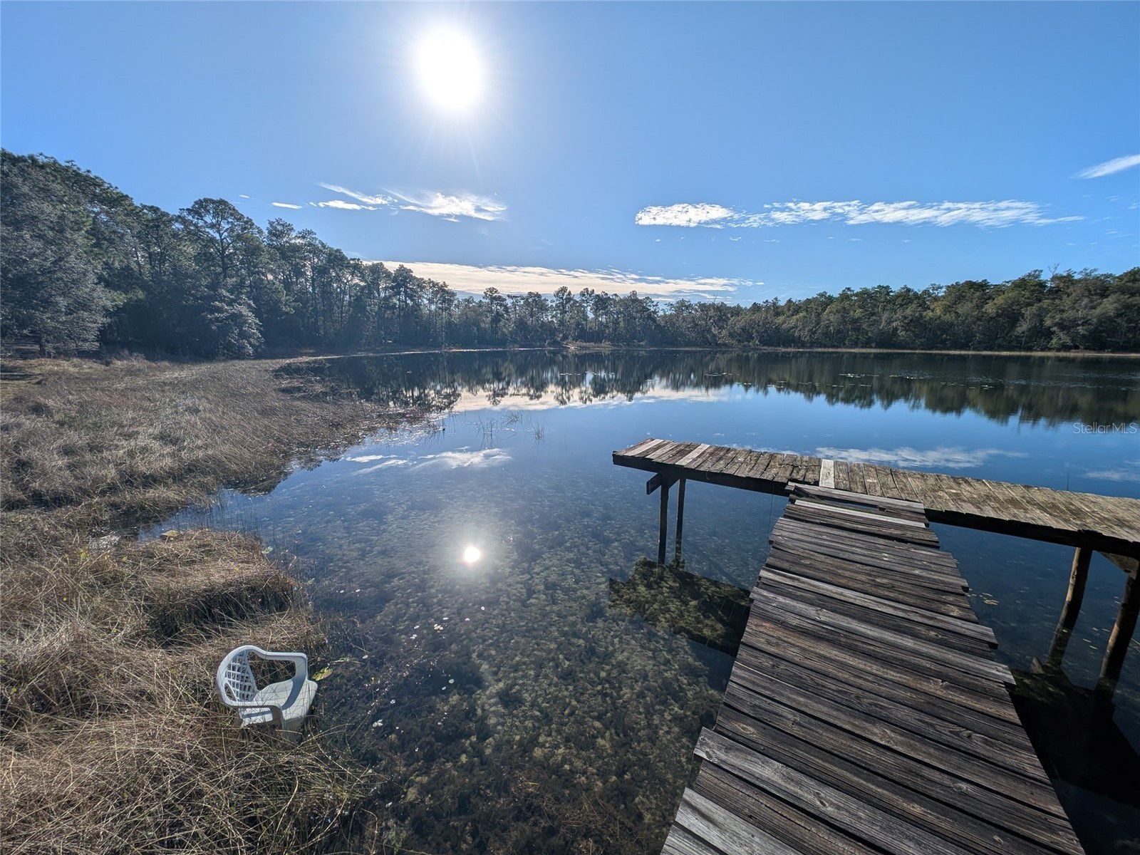 14730 SE 61st Street Road Ocklawaha FL 32179 - LAKE SHOESOLE OM717239 image88