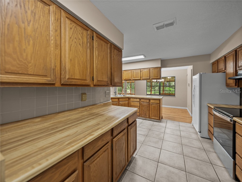 14730 Trooper Tom Lane Dade City FL 33525 TB8428712 image24