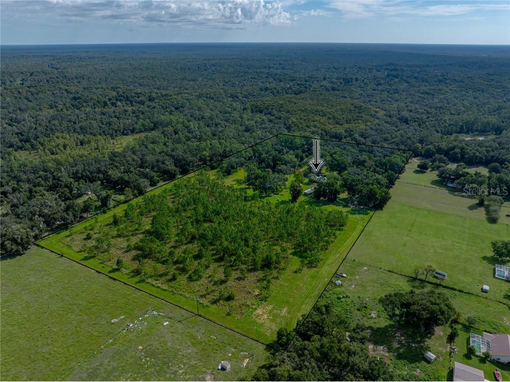 14730 Trooper Tom Lane Dade City FL 33525 TB8428712 image3