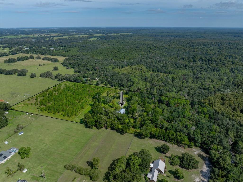 14730 Trooper Tom Lane Dade City FL 33525 TB8428712 image6