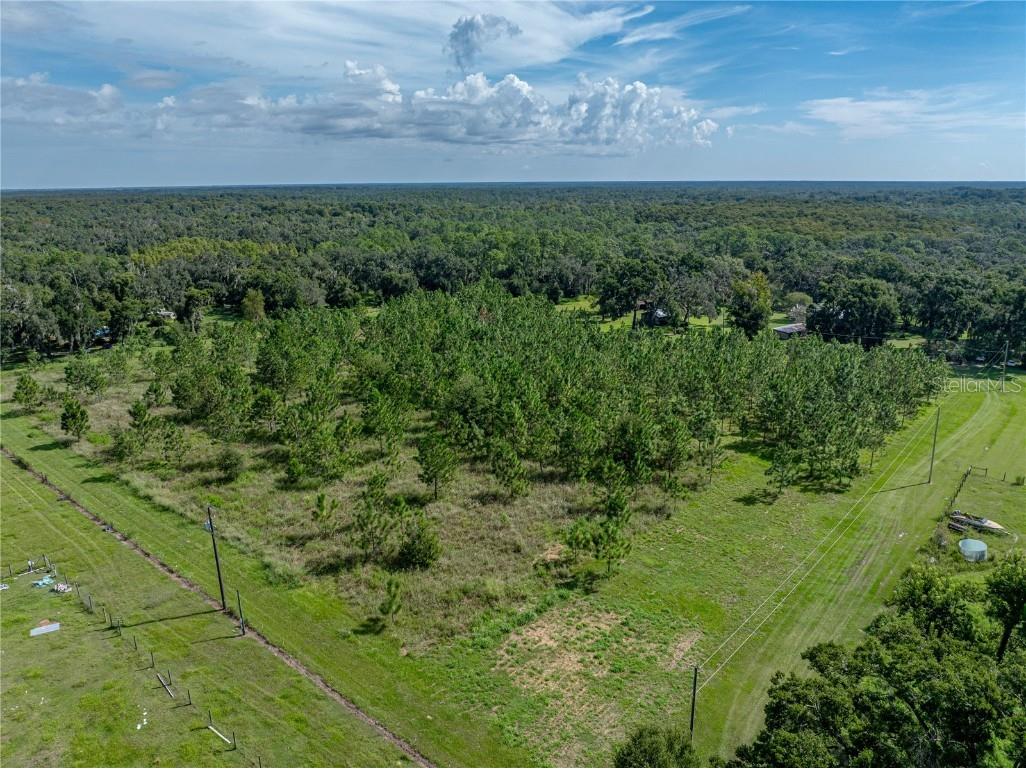 14730 Trooper Tom Lane Dade City FL 33525 TB8428712 image70