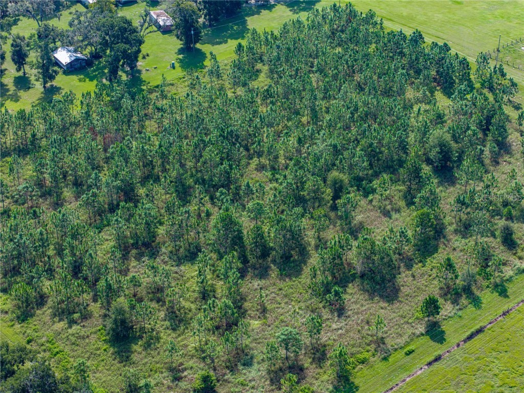 14730 Trooper Tom Lane Dade City FL 33525 TB8428712 image71