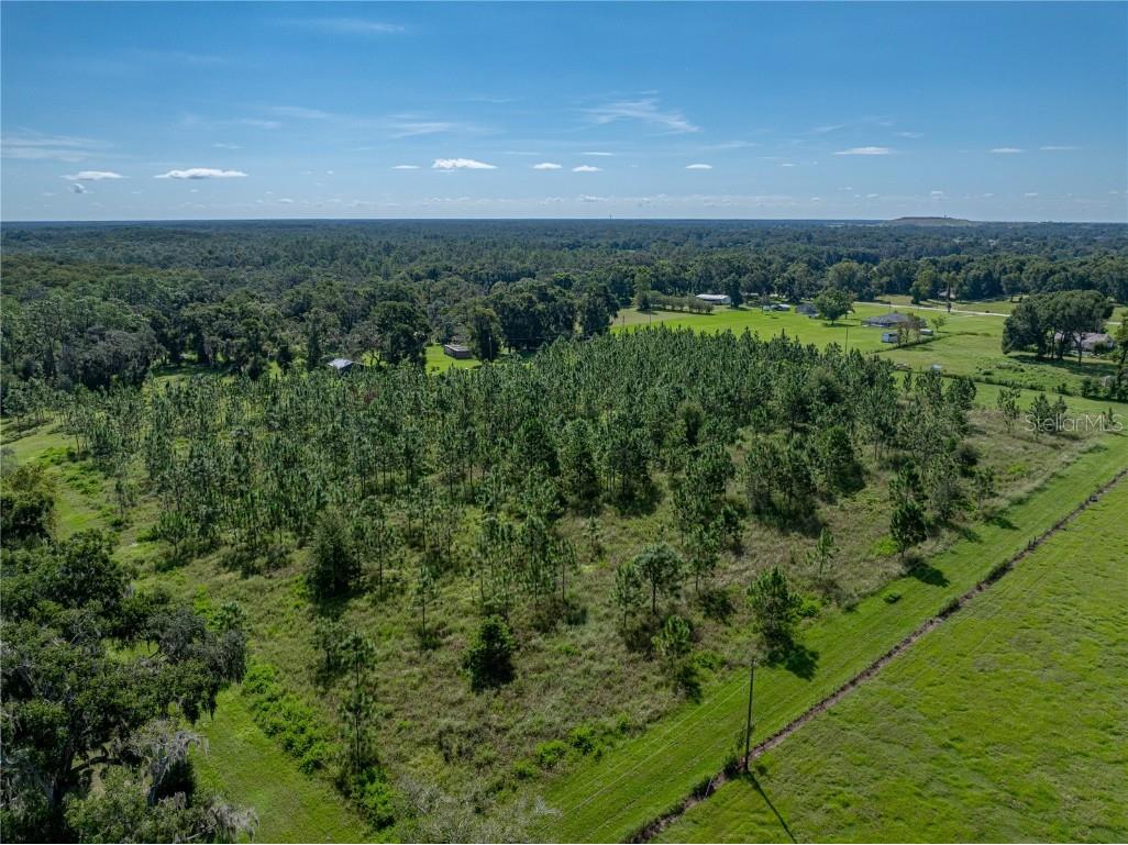 14730 Trooper Tom Lane Dade City FL 33525 TB8428712 image72