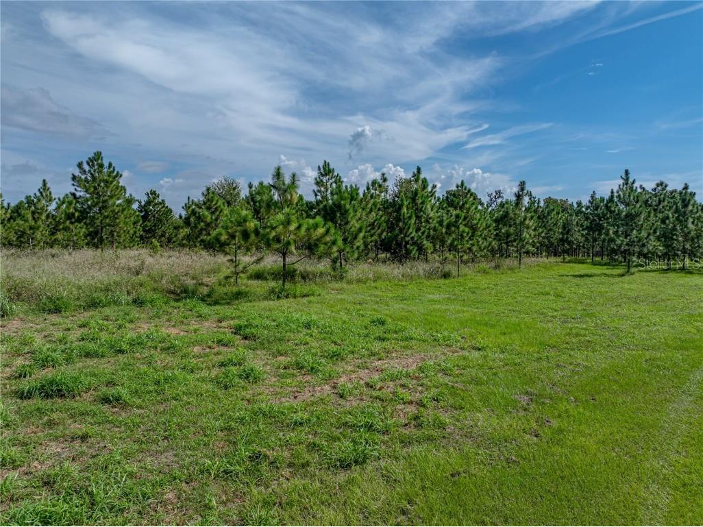 14730 Trooper Tom Lane Dade City FL 33525 TB8428712 image73