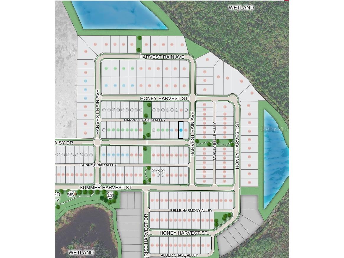 14731 Field Daisy Drive Winter Garden FL 34787 O6410869 image15