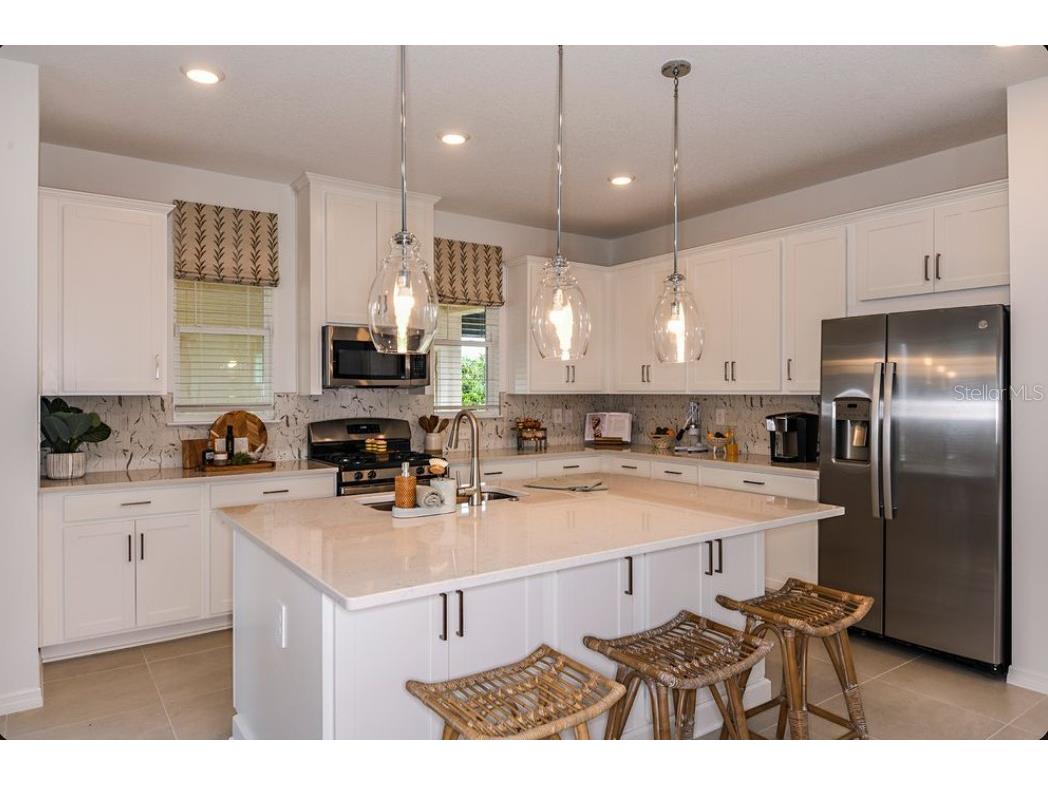 14731 Field Daisy Drive Winter Garden FL 34787 O6410869 image5