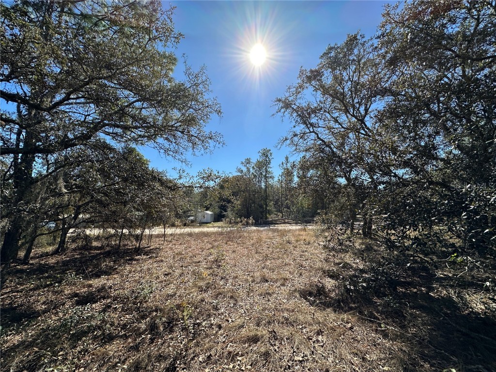 14731 SE 5th Place Williston FL 32696 OM690285 image2