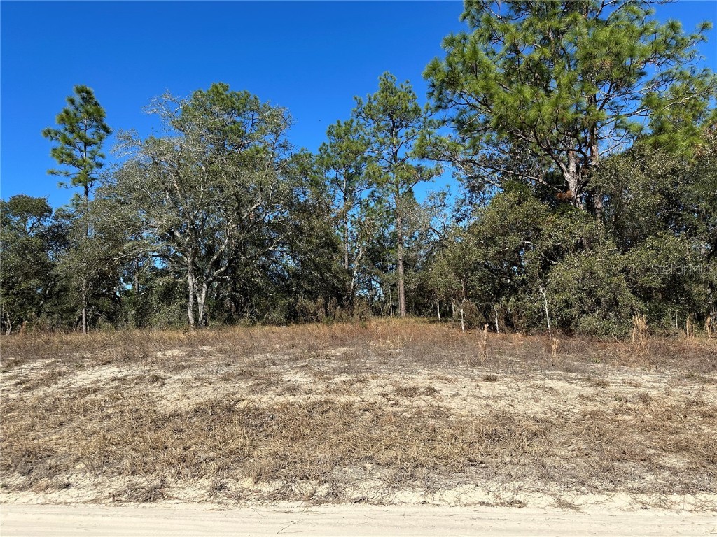 14731 SE 5th Place Williston FL 32696 OM690285 image3