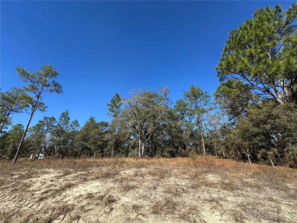 14731 SE 5th Place Williston FL 32696 OM690285 image5