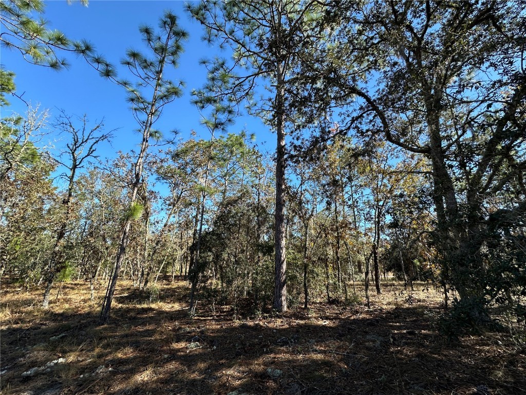 14731 SE 5th Place Williston FL 32696 OM690285 image7