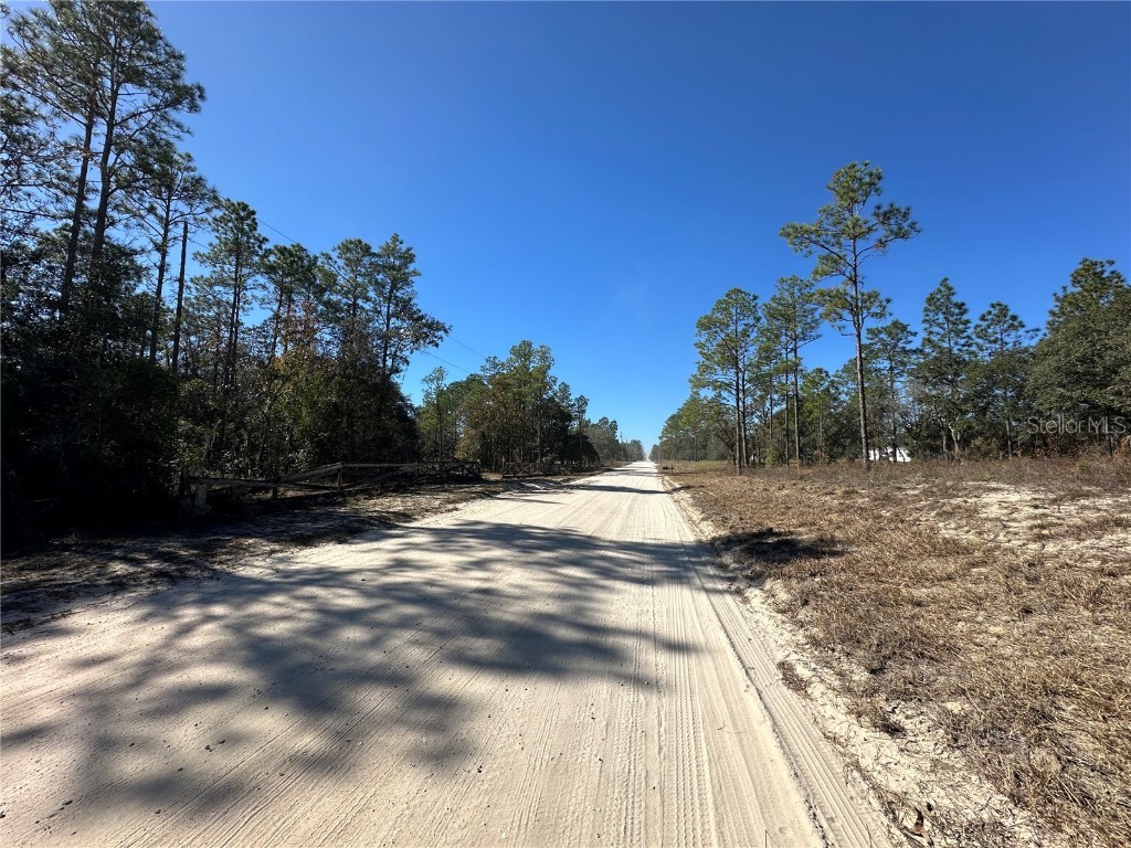 14731 SE 5th Place Williston FL 32696 OM690285 image8