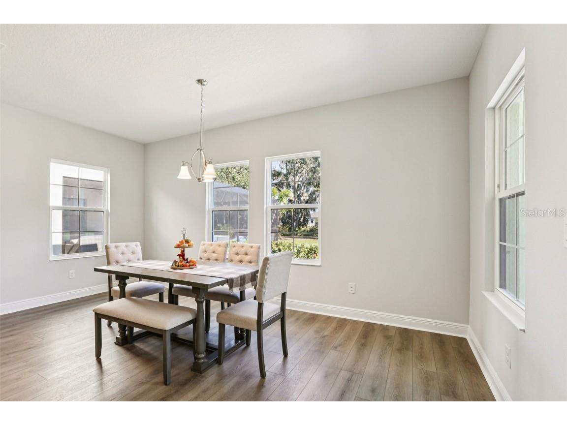 14733 Gallop Run Drive Lithia FL 33547 TB8444353 image12