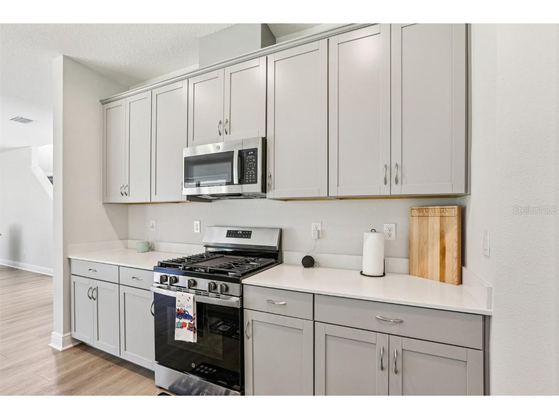 14733 Gallop Run Drive Lithia FL 33547 TB8444353 image18