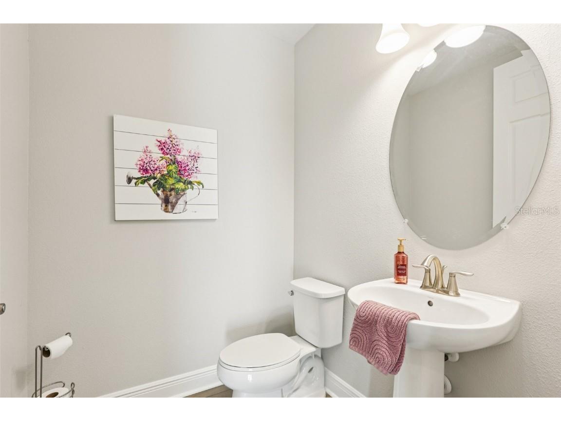 14733 Gallop Run Drive Lithia FL 33547 TB8444353 image22