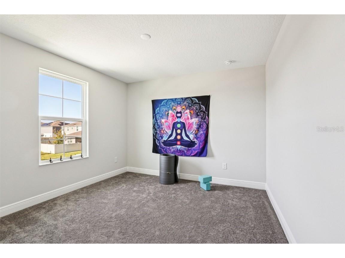 14733 Gallop Run Drive Lithia FL 33547 TB8444353 image26