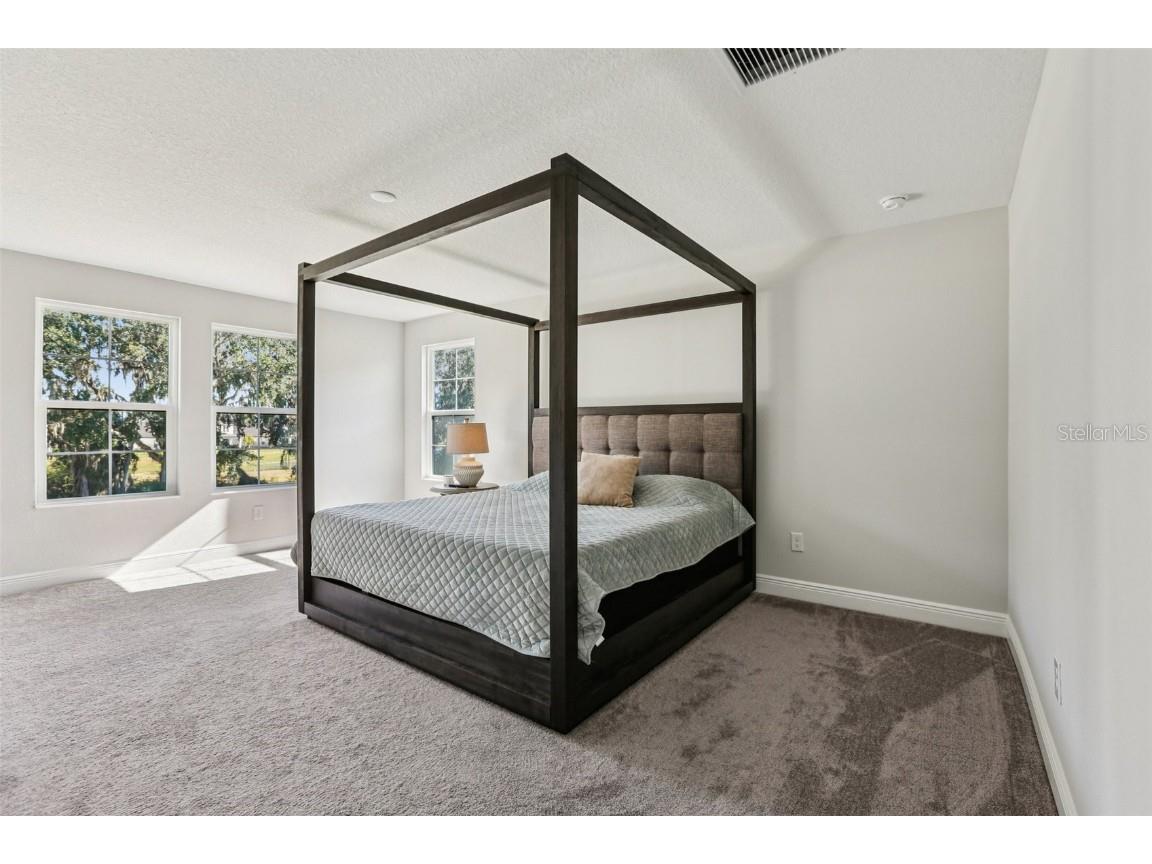 14733 Gallop Run Drive Lithia FL 33547 TB8444353 image36