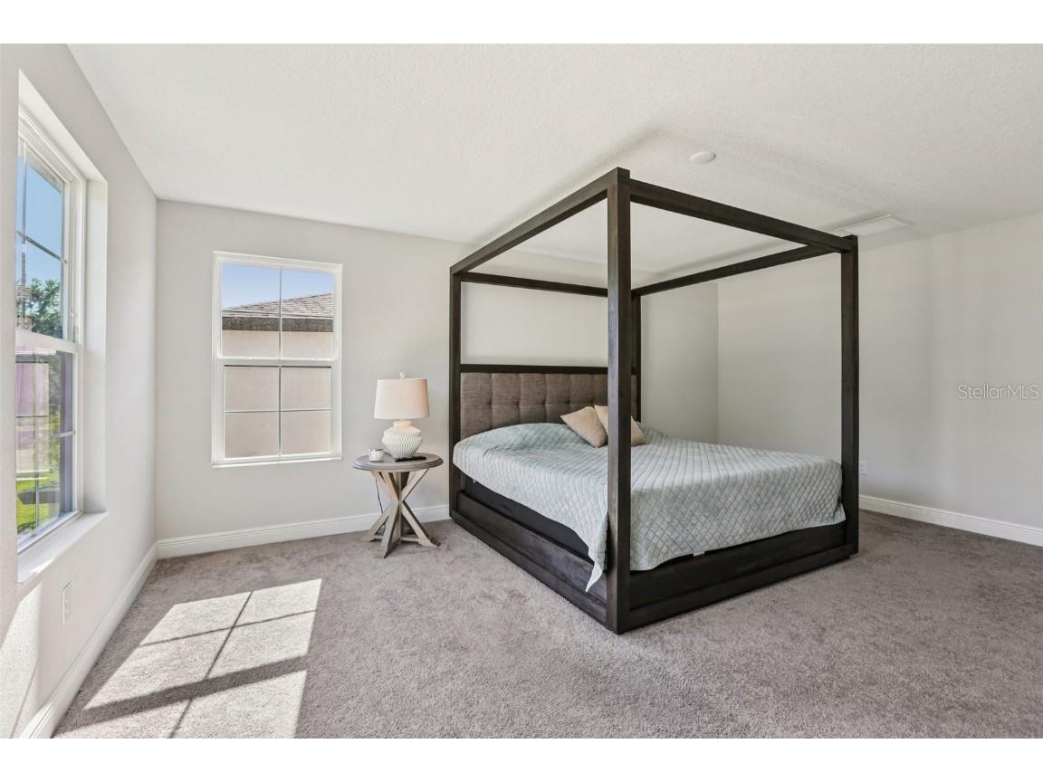 14733 Gallop Run Drive Lithia FL 33547 TB8444353 image37