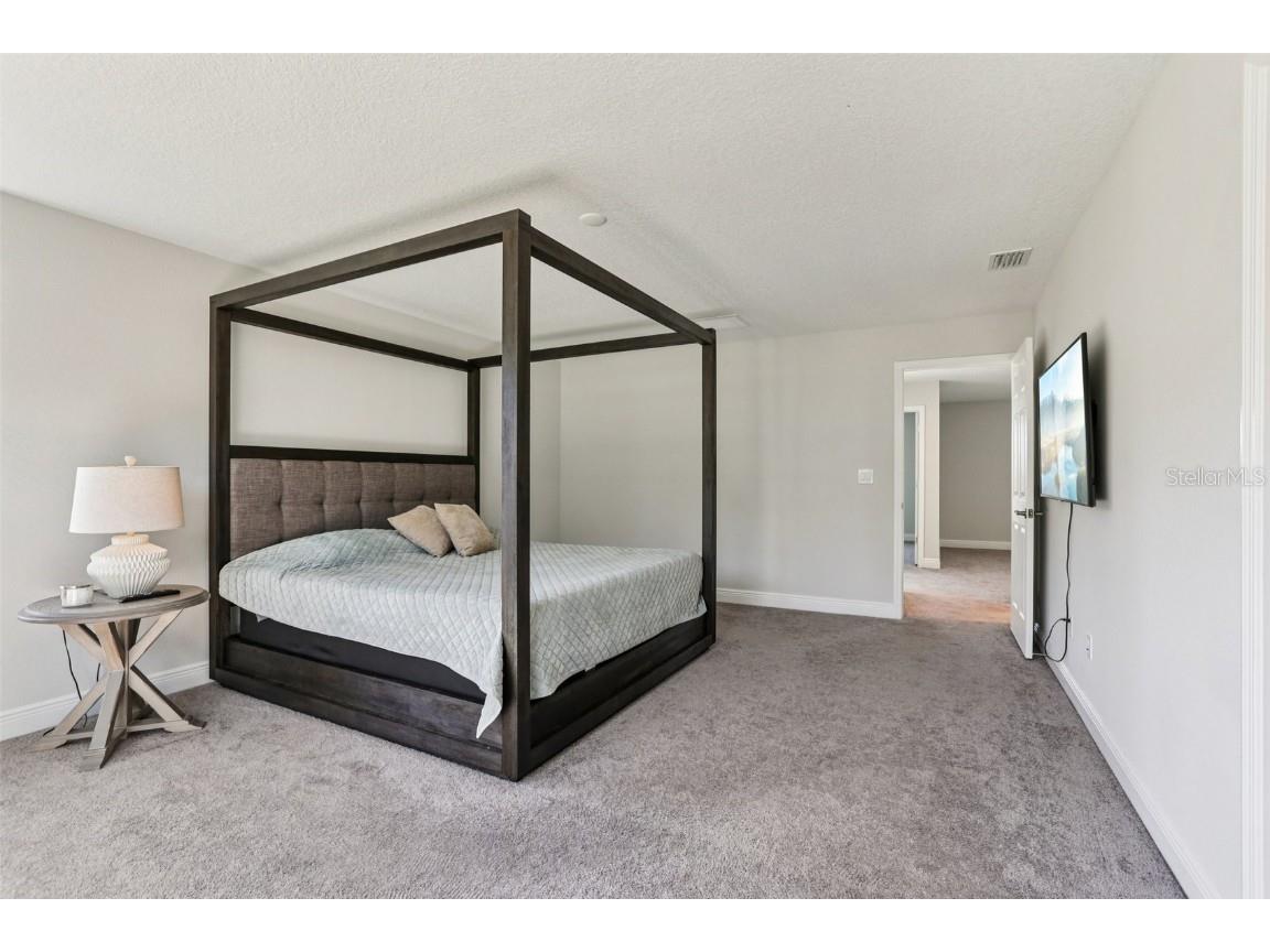 14733 Gallop Run Drive Lithia FL 33547 TB8444353 image38