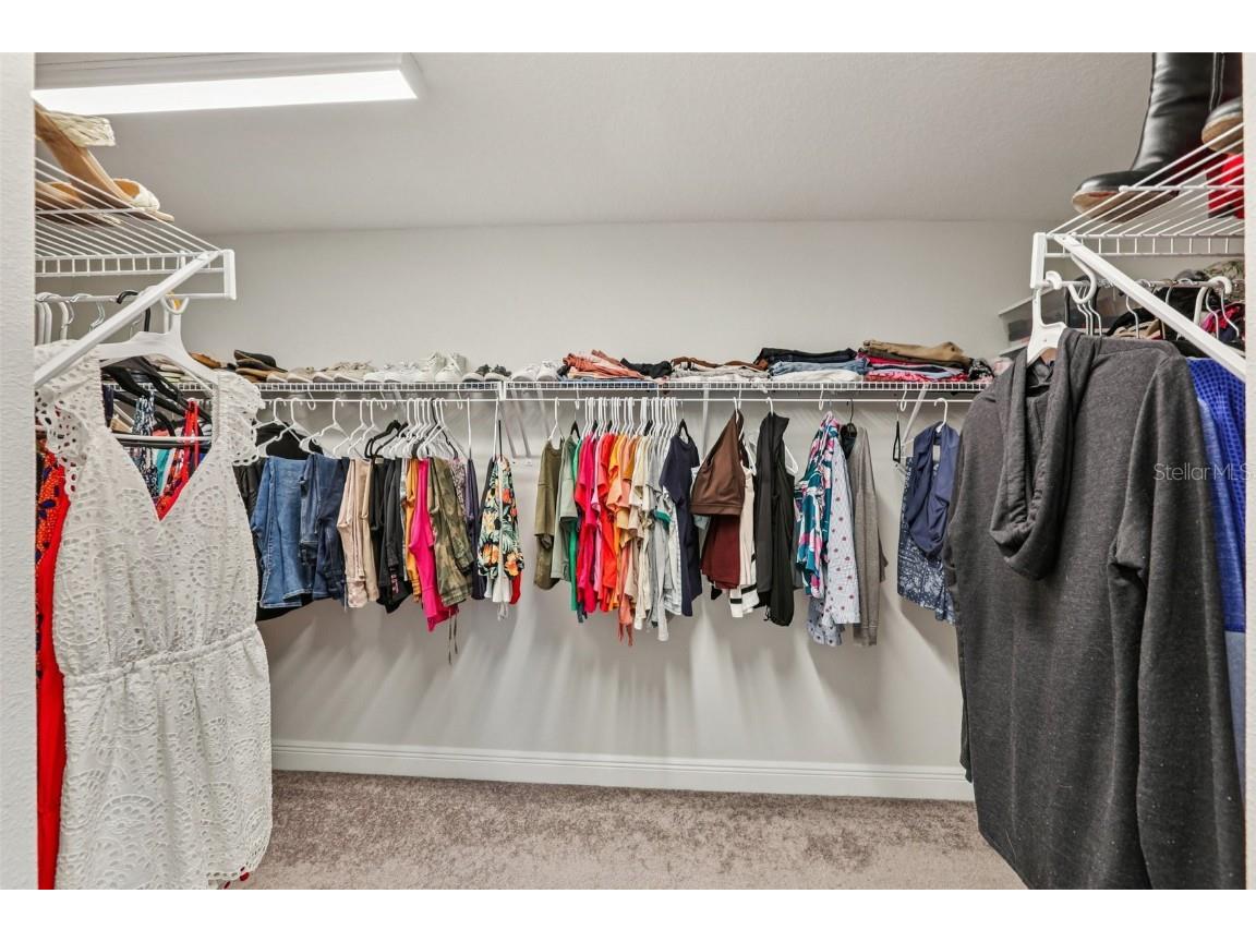 14733 Gallop Run Drive Lithia FL 33547 TB8444353 image43