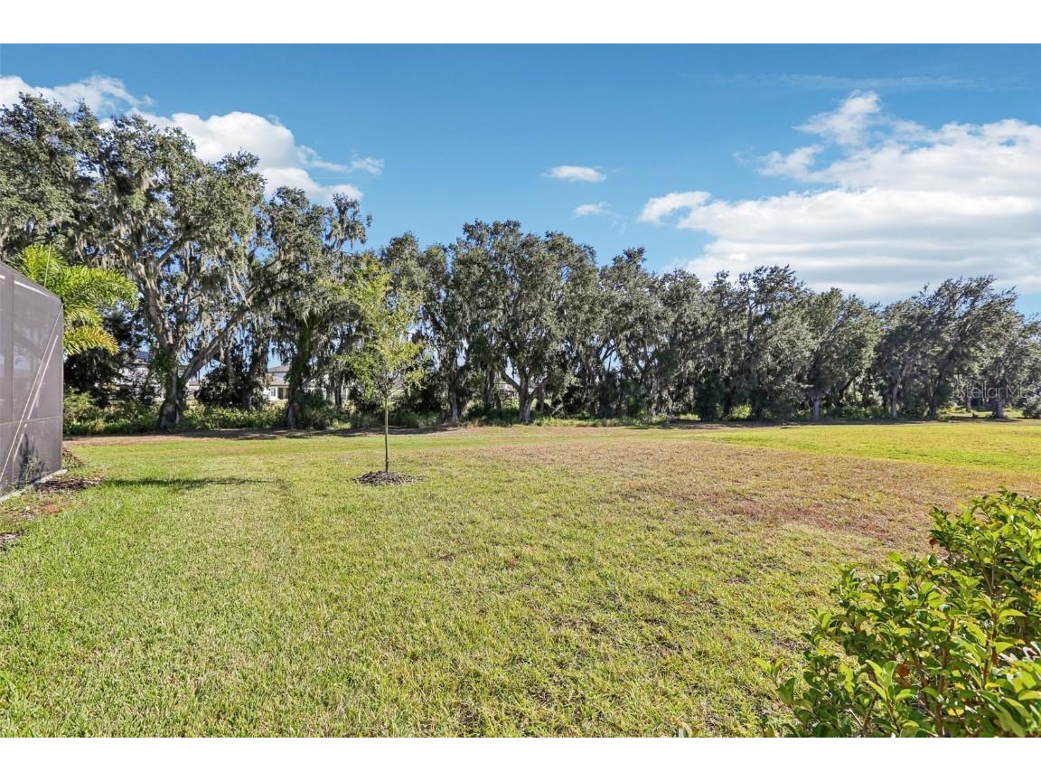 14733 Gallop Run Drive Lithia FL 33547 TB8444353 image46
