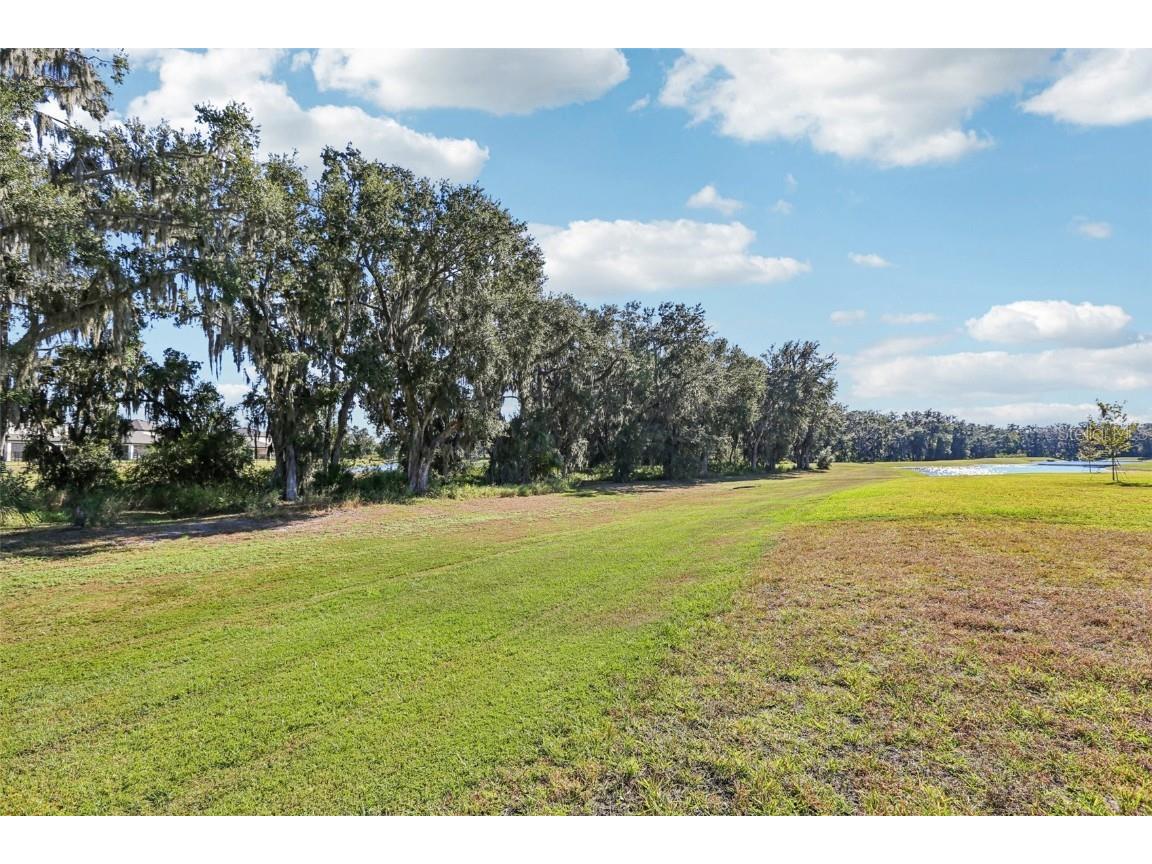14733 Gallop Run Drive Lithia FL 33547 TB8444353 image47