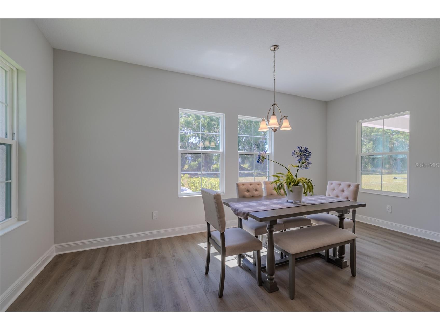 14733 Gallop Run Drive Lithia FL 33547 TB8500899 image11