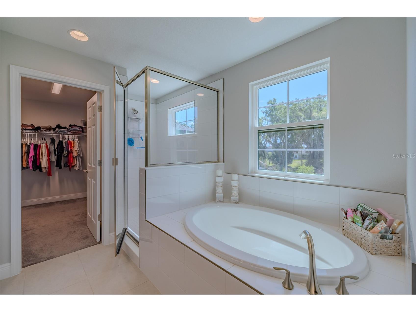 14733 Gallop Run Drive Lithia FL 33547 TB8500899 image27