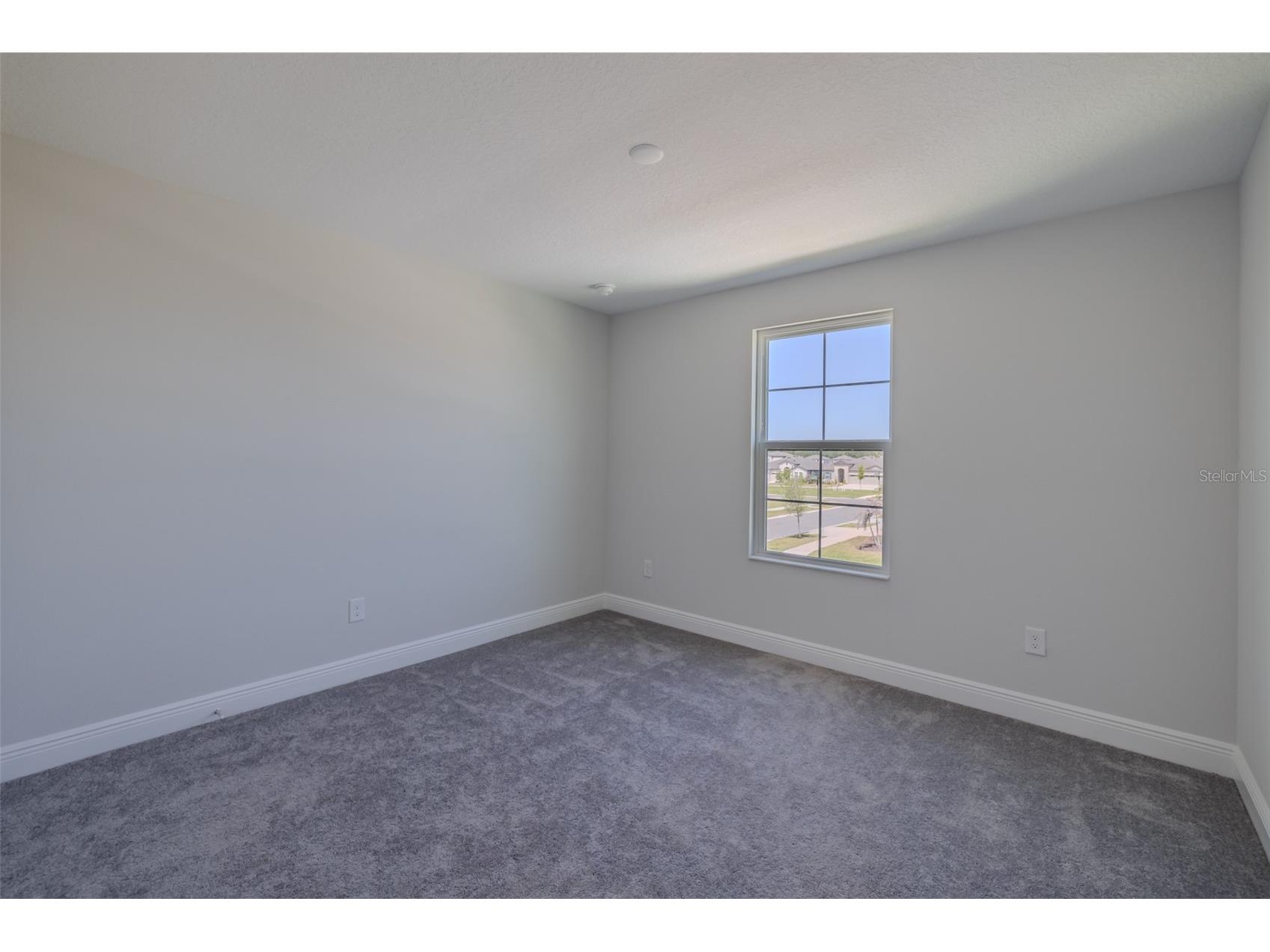 14733 Gallop Run Drive Lithia FL 33547 TB8500899 image38