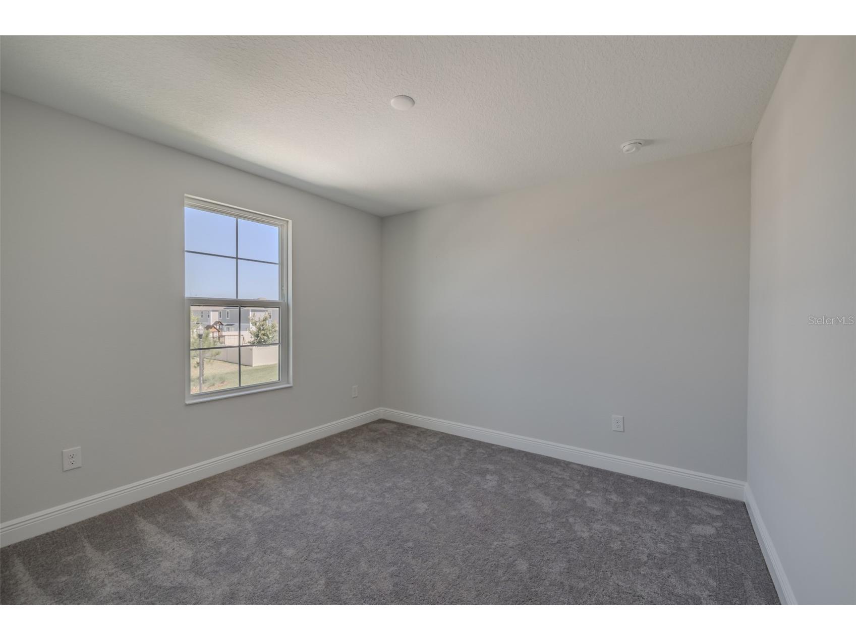 14733 Gallop Run Drive Lithia FL 33547 TB8500899 image44