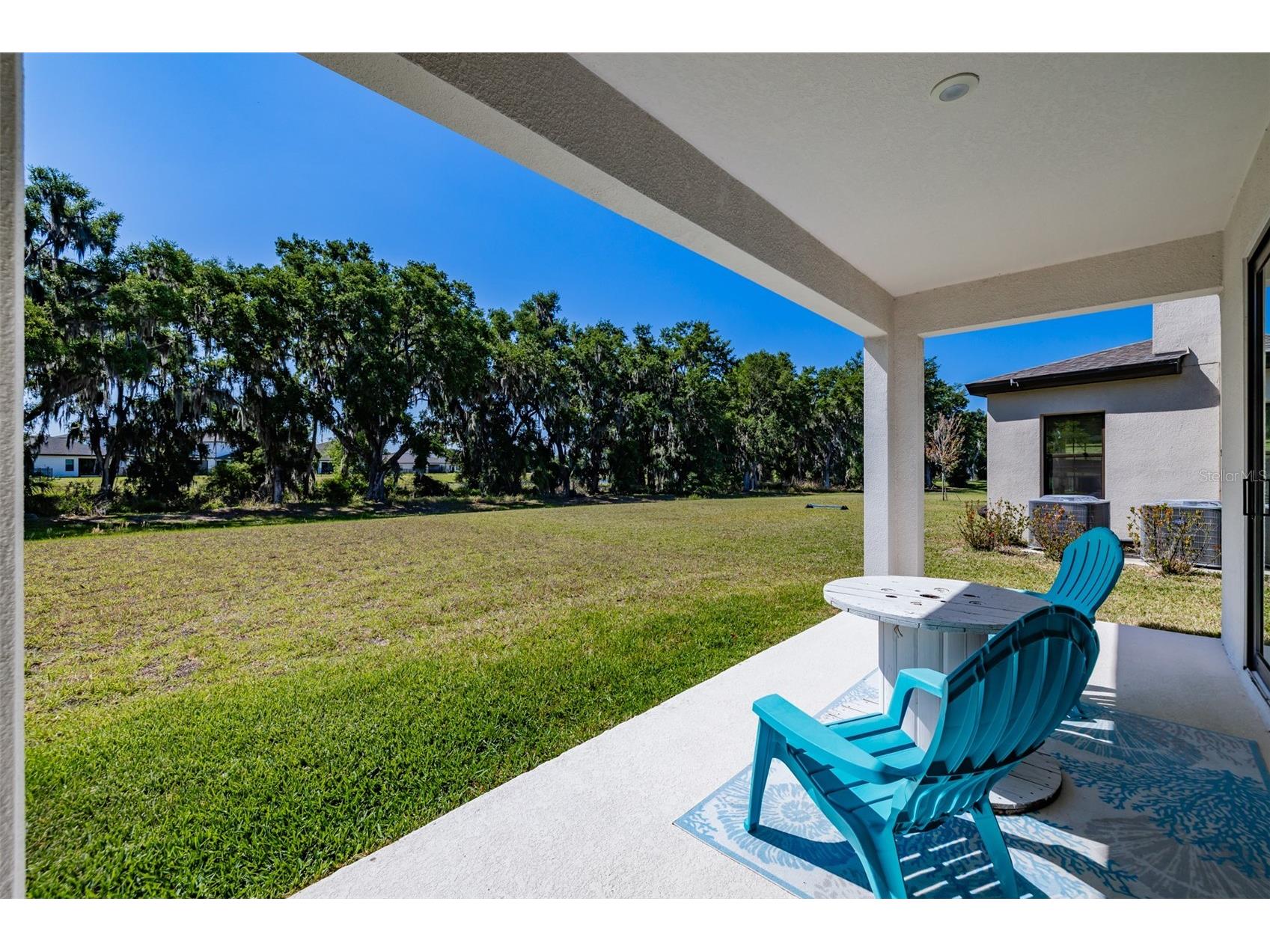 14733 Gallop Run Drive Lithia FL 33547 TB8500899 image47