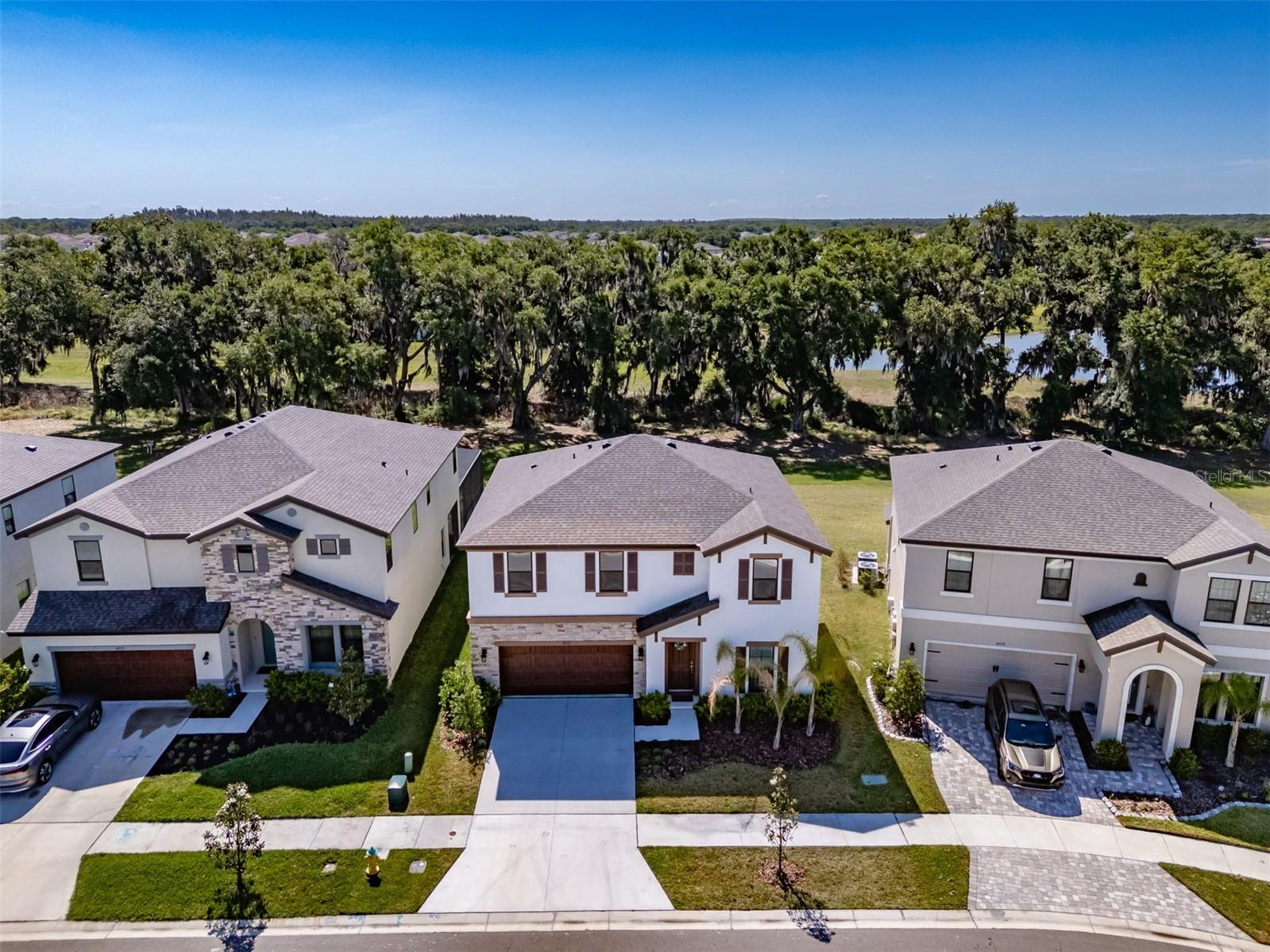 14733 Gallop Run Drive Lithia FL 33547 TB8500899 image52