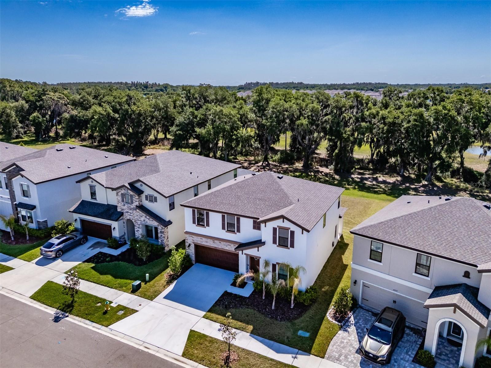 14733 Gallop Run Drive Lithia FL 33547 TB8500899 image53