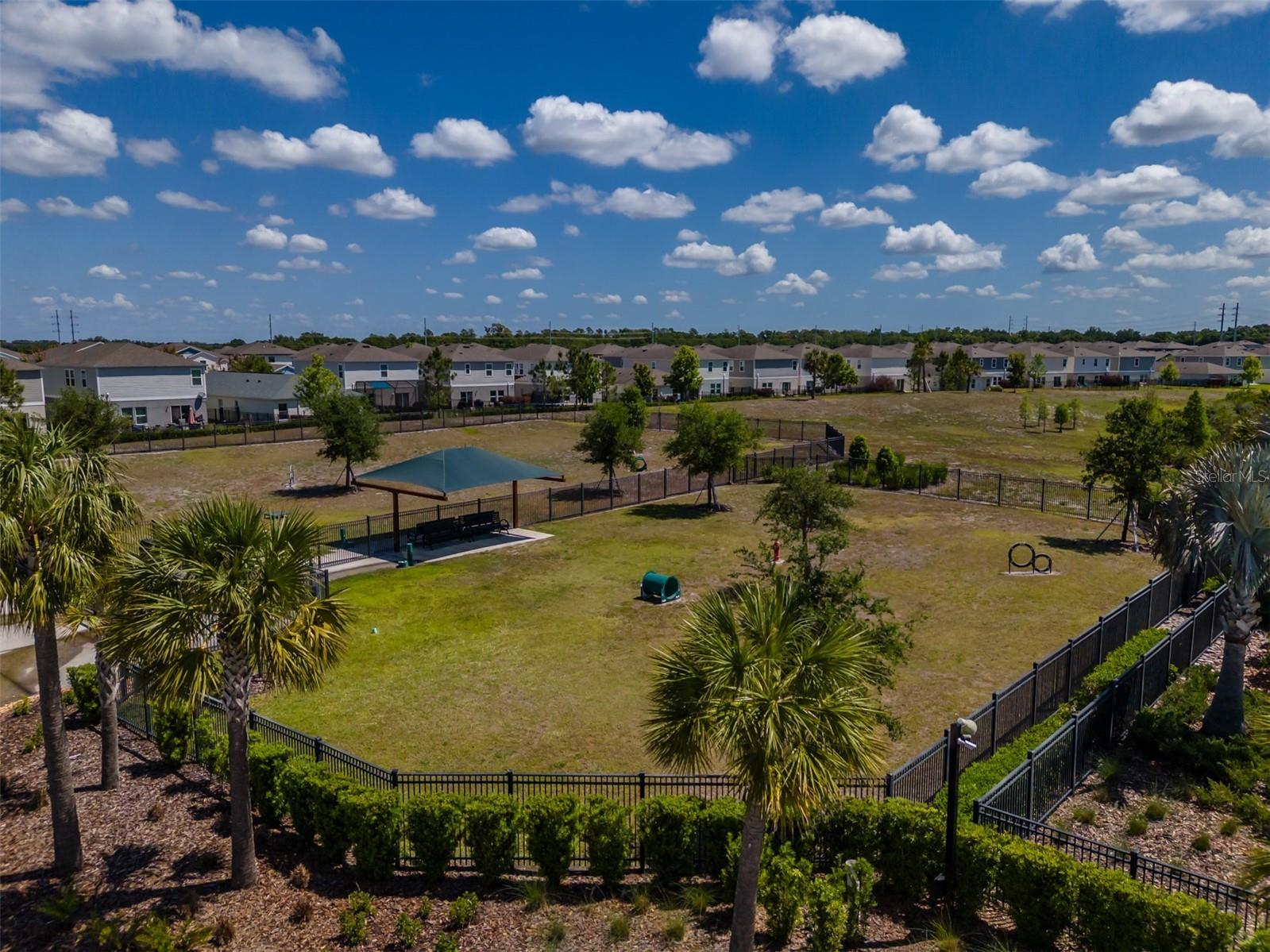 14733 Gallop Run Drive Lithia FL 33547 TB8500899 image60