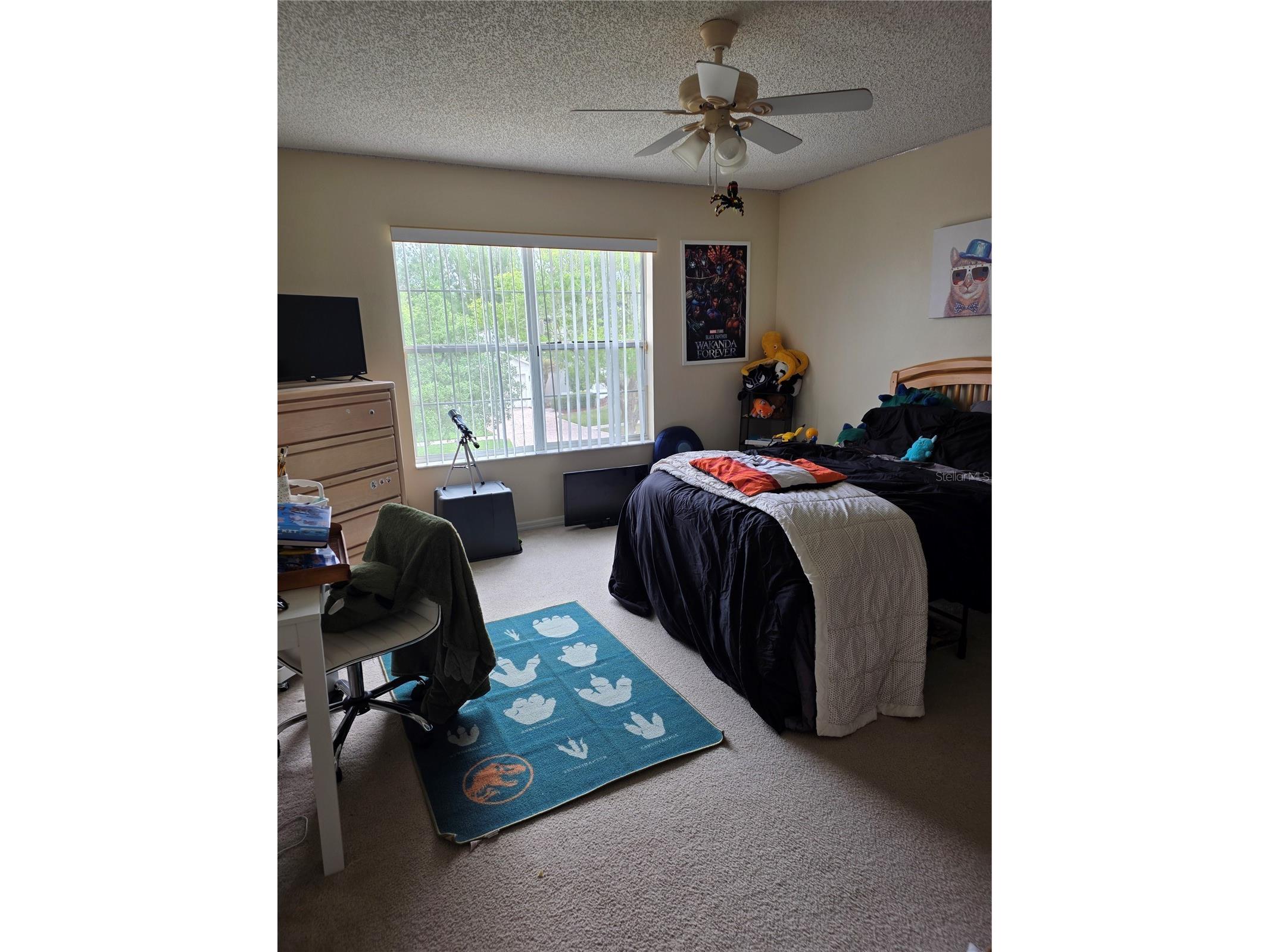 14733 Hartford Run Drive Orlando FL 32828 O6416988 image7