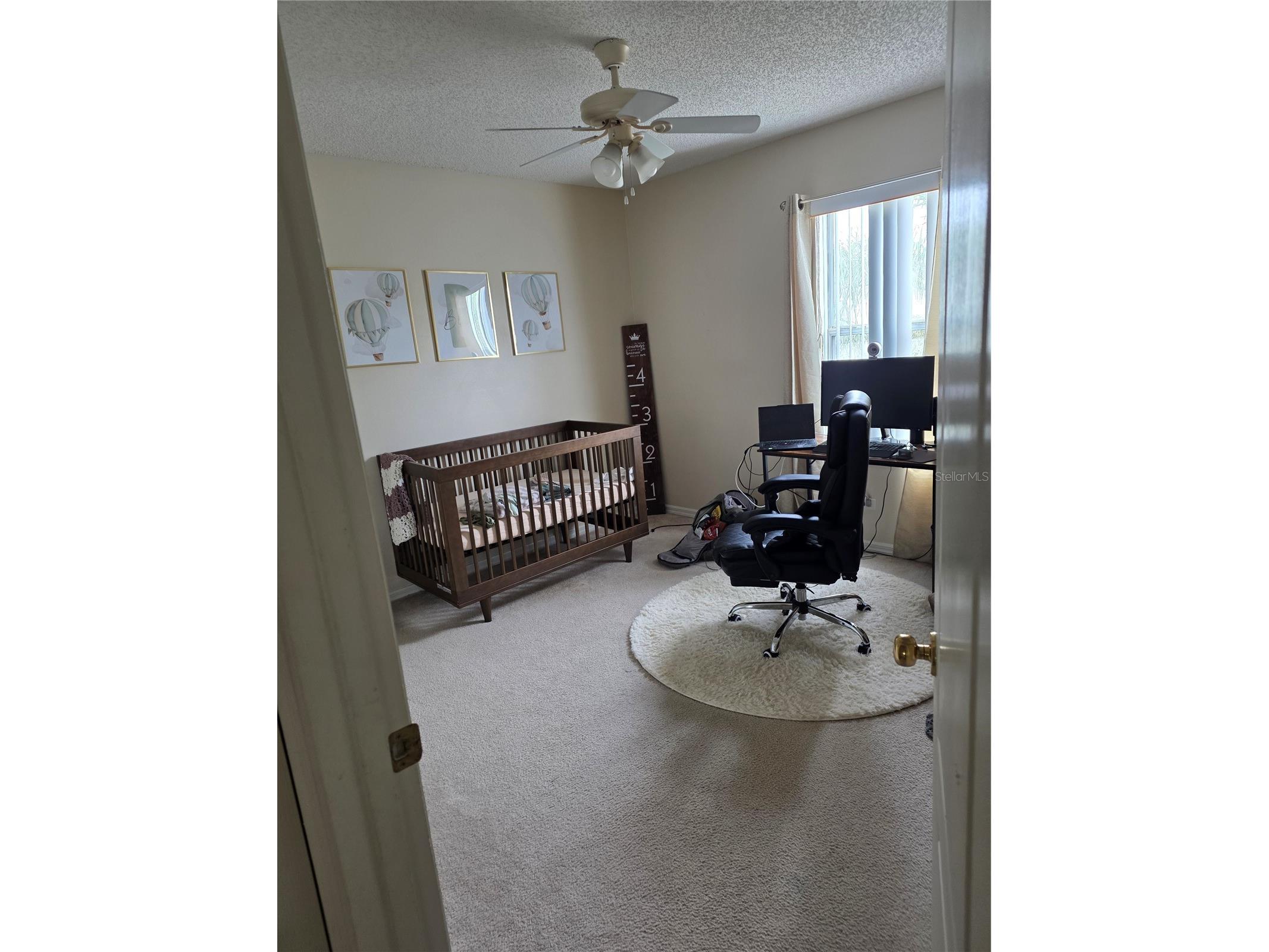 14733 Hartford Run Drive Orlando FL 32828 O6416988 image8
