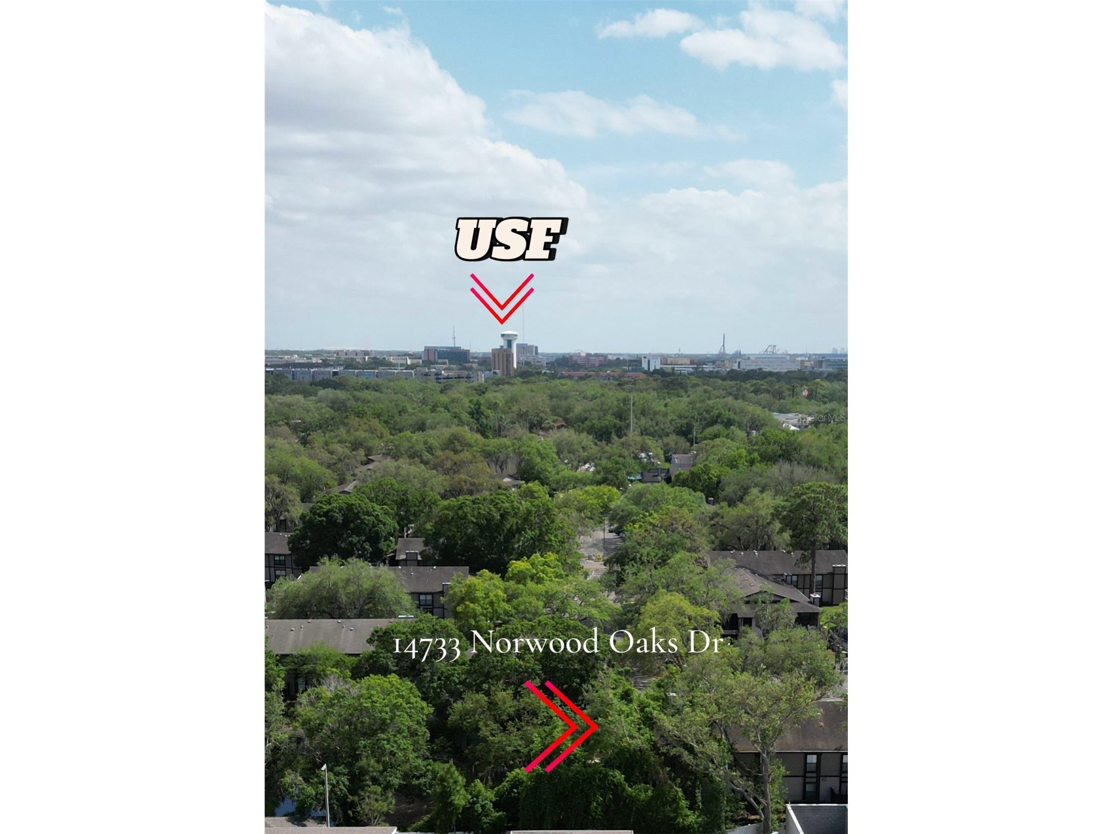 14733 Norwood Oaks Drive #201 Tampa FL 33613 TB8499859 image23