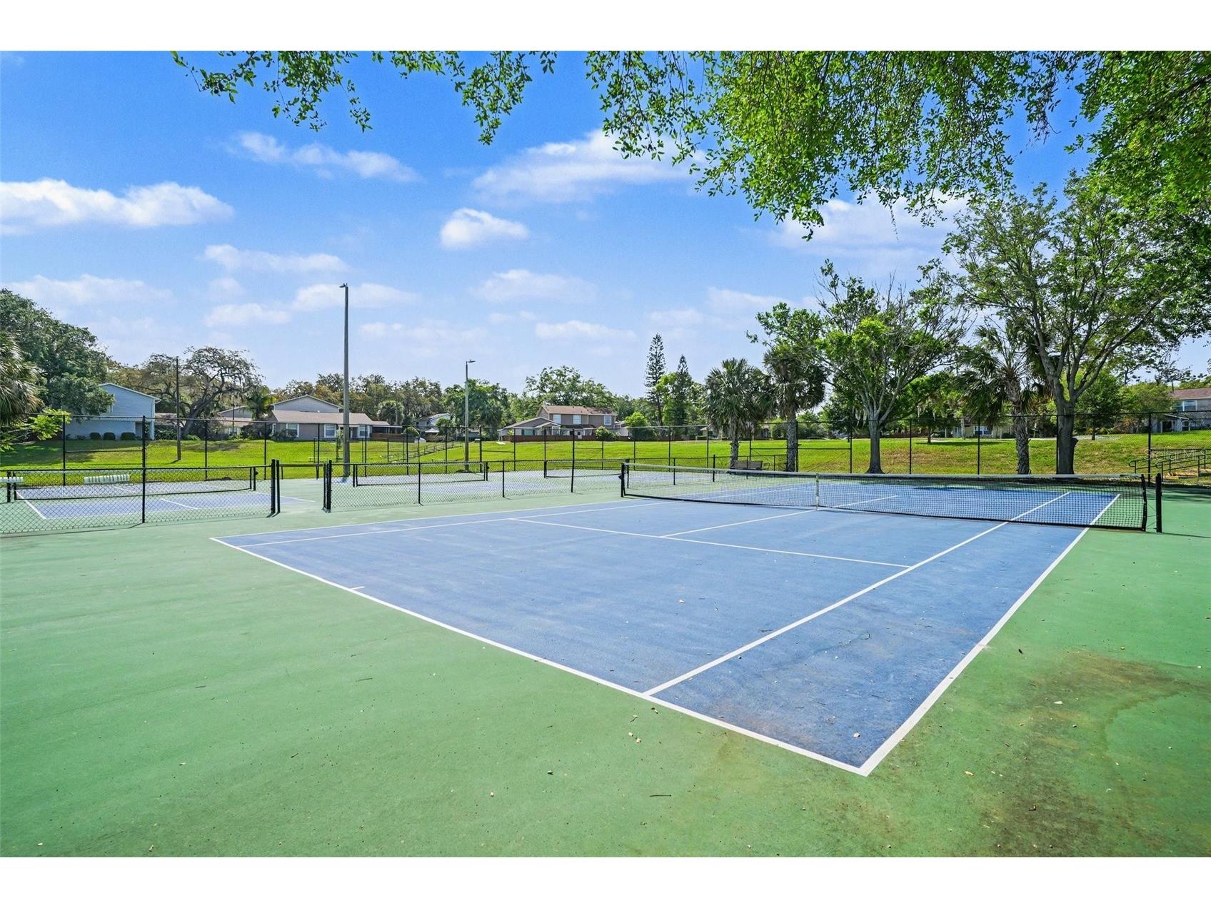 14733 Pine Glen Circle Lutz FL 33559 TB8492537 image31