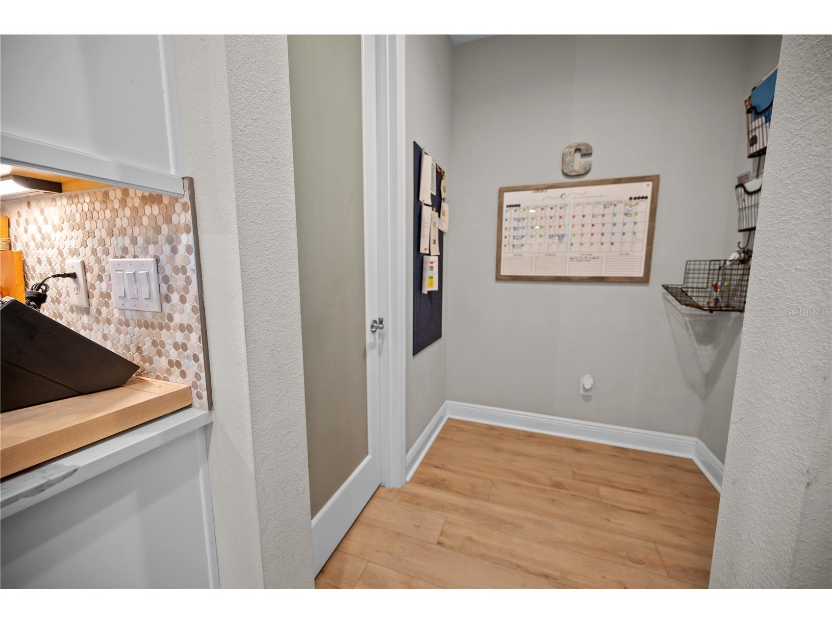 14734 Horse Trot Road Lithia FL 33547 TB8494278 image25