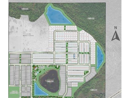 14736 Field Daisy Drive Winter Garden FL 34787 O6391435 image18