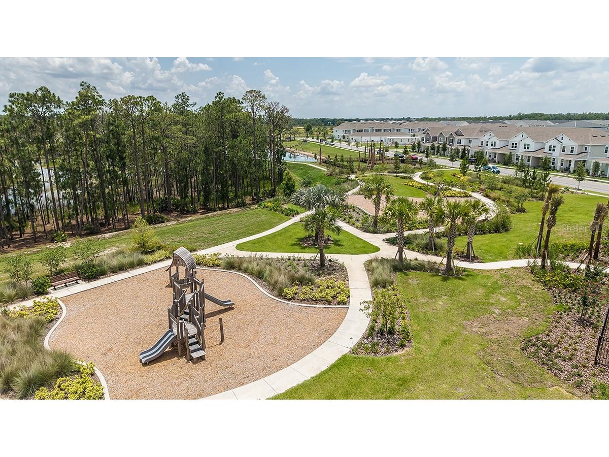 14736 Field Daisy Drive Winter Garden FL 34787 O6391435 image27