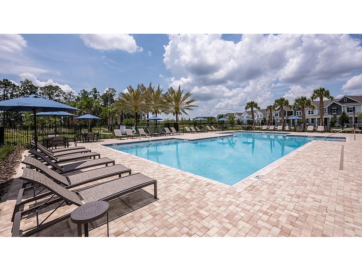 14736 Field Daisy Drive Winter Garden FL 34787 O6391435 image31