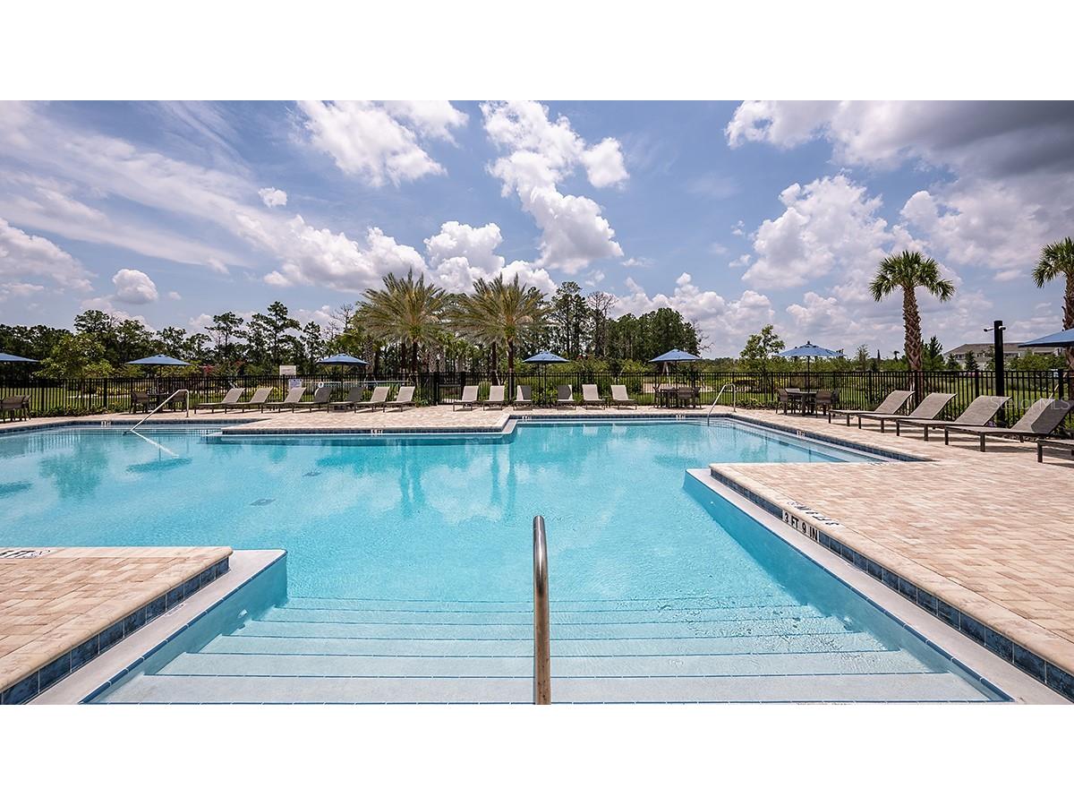 14736 Field Daisy Drive Winter Garden FL 34787 O6391435 image34