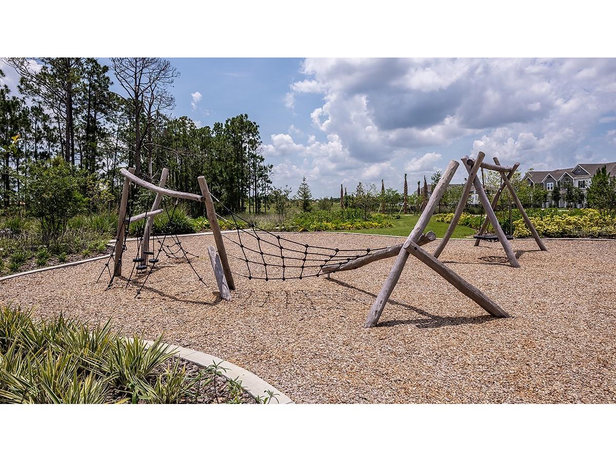 14736 Field Daisy Drive Winter Garden FL 34787 O6391435 image38